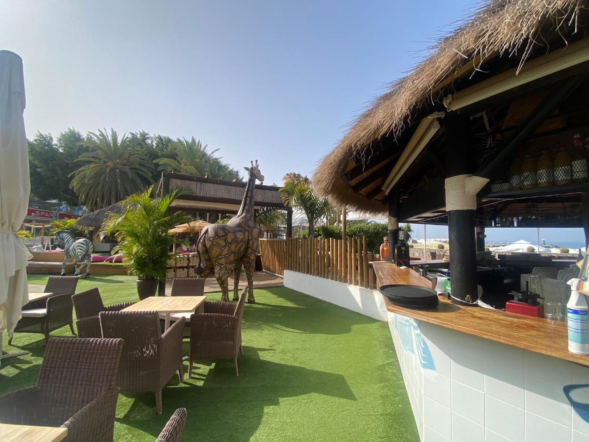 New Renovated Family Home Above Swimming Pool Puerto Rico  Exteriör bild